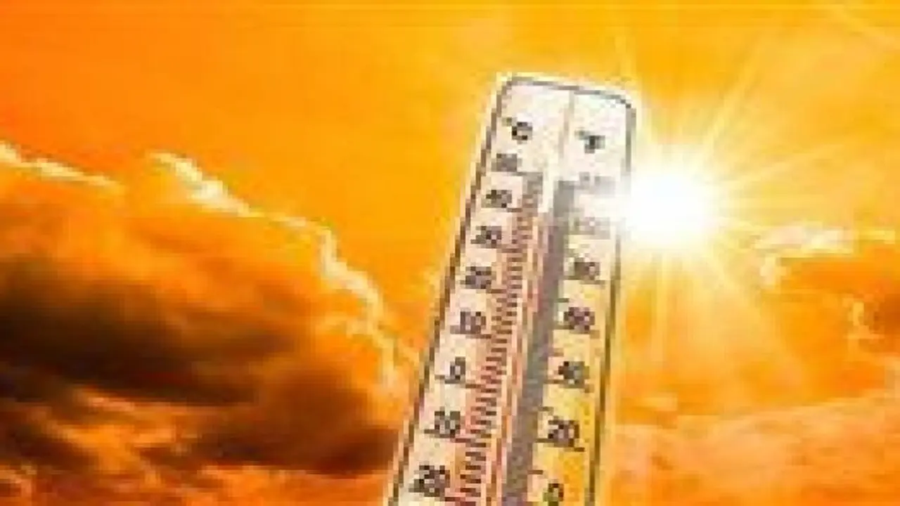 تحذيرات من حرارة مرتفعة غدًا مع شبورة ورطوبة أعلى